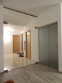 Sklenené kyvné dvere z matného skla 800 x 2000 mm 01