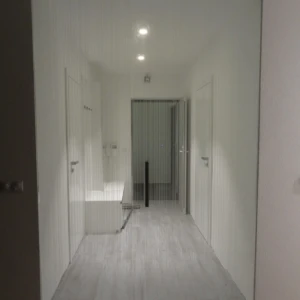 2939416569