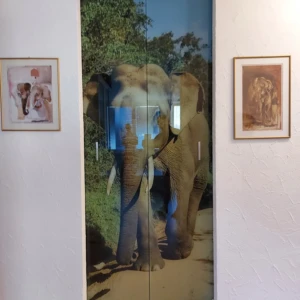 2578678772