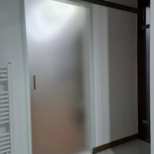 3668943779